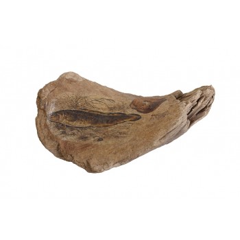 ΞΥΛΟ ΔΙΑΚΟΣΜ. ΣΧΕΔΙΟ ΨΑΡΙΑ 20Χ12Χ4,5ΕΚ