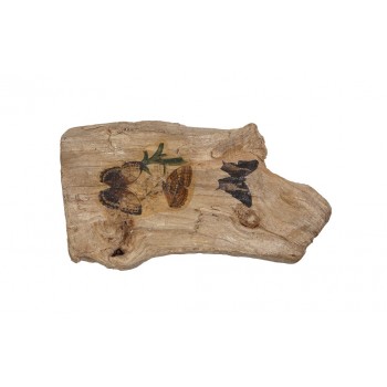 ΞΥΛΟ ΔΙΑΚΟΣΜ. ΣΧΕΔΙΟ ΠΕΤΑΛΟΥΔΕΣ 20Χ12Χ4,5ΕΚ