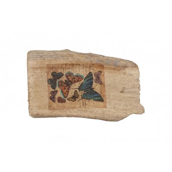 ΞΥΛΟ ΔΙΑΚΟΣΜ. ΣΧΕΔΙΟ ΠΕΤΑΛΟΥΔΕΣ 16Χ10Χ4,5ΕΚ