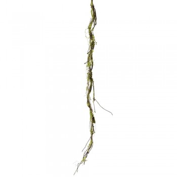 ΚΛΑΔΙ ΚΛΗΜΑΤΣΙΔΑ ΜΕ ΒΡΥΑ 170ΕΚ