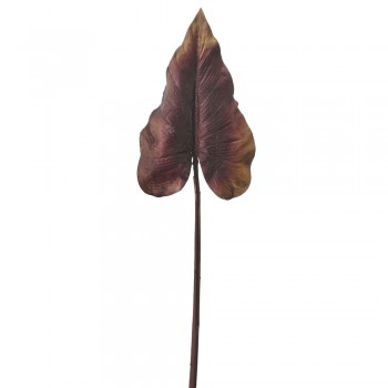 ΚΛΑΔΙ ΚΑΦΕ ΤΡΟΠΙΚΟ ΦΥΛΛΟ 73ΕΚ ΚΛΑΔΙ ΚΑΦΕ ΤΡΟΠΙΚΟ ΦΥΛΛΟ 73ΕΚ