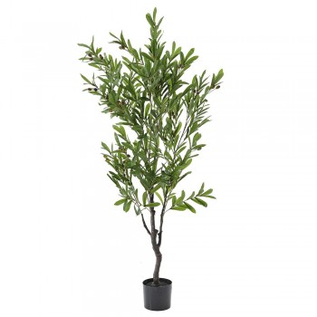 ΦΥΤΟ ΕΛΙΑ 150ΕΚ ΣΕ ΠΛΑΣΤΙΚΗ ΓΛΑΣΤΡΑ (15Χ13ΕΚ)