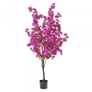 ΦΥΤΟ ΒΟΥΚΑΜΒΙΛΙΑ 150ΕΚ ΜΩΒ ΣΕ ΠΛΑΣΤΙΚΗ ΓΛΑΣΤΡΑ