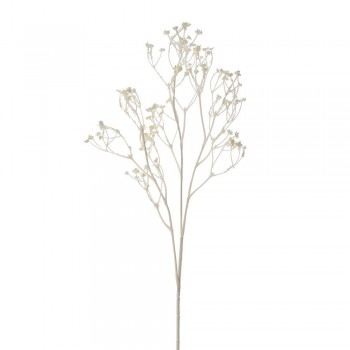 ΚΛΑΔΙ ΓΥΨΟΦΙΛΗ ΜΠΕΖ 57ΕΚ ΚΛΑΔΙ ΓΥΨΟΦΙΛΗ ΜΠΕΖ 57ΕΚ