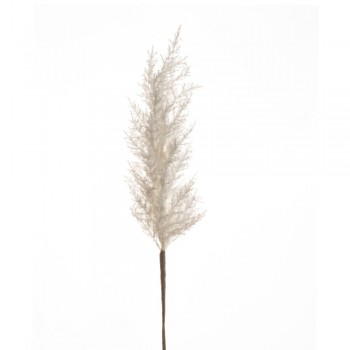 PAMPAS ΦΥΣΙΚΟ ΛΕΥΚΟ ΚΛΑΔΙ 100ΕΚ. PAMPAS ΦΥΣΙΚΟ ΛΕΥΚΟ ΚΛΑΔΙ 100ΕΚ.