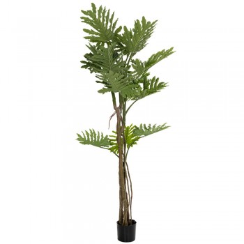 ΦΥΤΟ ΦΥΛΛΟΔΕΝΤΡΟ 190εκ.ΣΕ ΜΑΥΡΗ ΠΛΑΣΤΙΚΗ ΓΛΑΣΤΡΑ