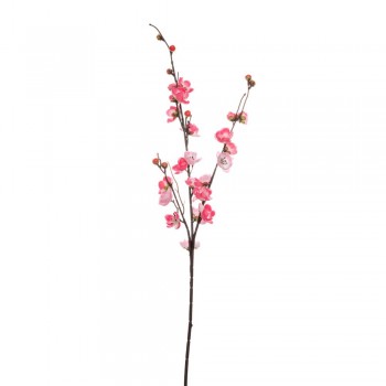 ΑΜΥΓΔΑΛΙΑ ΦΟΥΞΙΑ 93ΕΚ ΑΜΥΓΔΑΛΙΑ ΦΟΥΞΙΑ 93ΕΚ