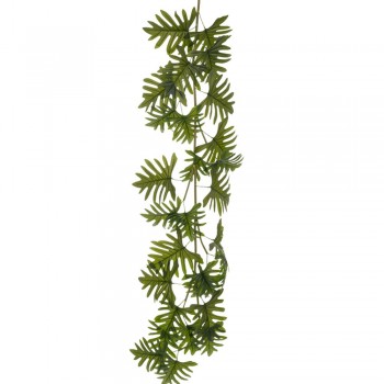 ΓΙΡΛΑΝΤΑ ΦΥΛΛΟΔΕΝΔΡΟ 190ΕΚ ΜΕ ΠΟΛΥ ΜΕΓΑΛΑ ΦΥΛΛΑ 45-50ΕΚ ΠΛΑΤΟΣ ΓΙΡΛΑΝΤΑ ΦΥΛΛΟΔΕΝΔΡΟ 190ΕΚ ΜΕ ΠΟΛΥ ΜΕΓΑΛΑ ΦΥΛΛΑ 45-50ΕΚ ΠΛΑΤΟΣ