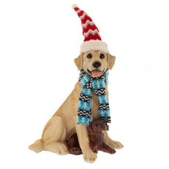 ΠΟΛΥΡΕΖΙΝΗ ΓΚΡΙ ΣΚΥΛΟΣ ΜΕ ΚΟΚΚΙΝΟ ΣΚΟΥΦΟ ΚΑΙ ΜΠΛΕ ΚΑΣΚΟΛ25Χ20Χ29ΕΚ.