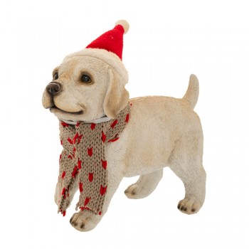 ΠΟΛΥΡΕΖΙΝΗ ΓΚΡΙ ΣΚΥΛΟΣ ΜΕ ΚΟΚΚΙΝΟ ΣΚΟΥΦΟ ΚΑΙ ΓΚΡΙ ΚΑΣΚΟΛ 25Χ11Χ29ΕΚ.