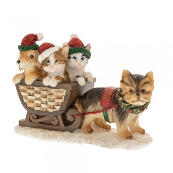 ΣΚΥΛΑΚΙΑ ΠΟΛΥΡΕΖΙΝ 16Χ7Χ11ΕΚ