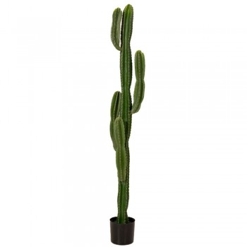 ΚΑΚΤΟΣ 155ΕΚ ΣΕ ΓΛΑΣΤΡΑ